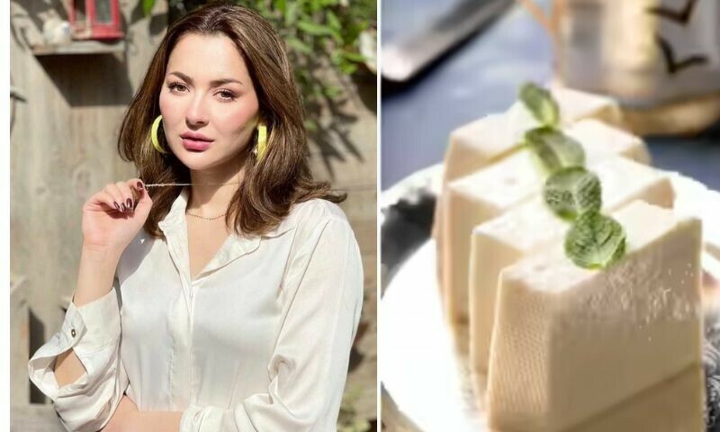 بھارتی  نیوز شو میں ہانیہ عامر کا نام بگاڑ دیا گیا