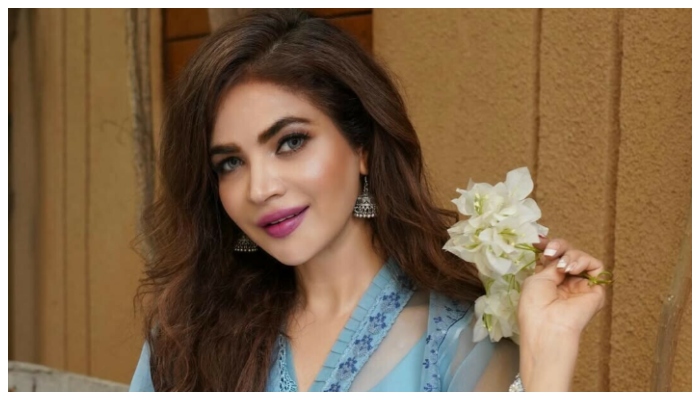 حمیرا اصغرسے آخری ایام میں کون کون رابطے میں رہا؟
