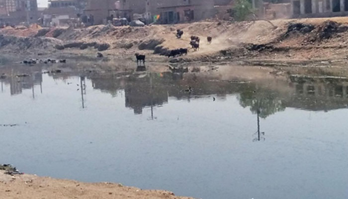 لاڑ کانہ،تالاب میں ڈوبنے والی چار بچیوں کی لاشیں مل گئیں