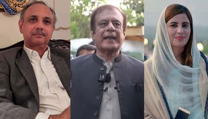 رانا ثنا کے گھر حملے کا کیس: عمر ایوب اور شبلی فراز سمیت 59 ملزمان کو 10،10 سال قید کی سزا