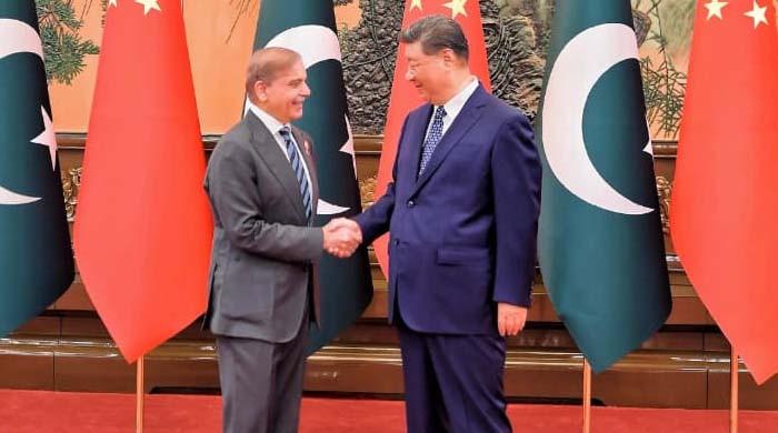 دہشتگردی کیخلاف جنگ میں پاکستان کی حمایت کرتے ہیں: چینی صدر