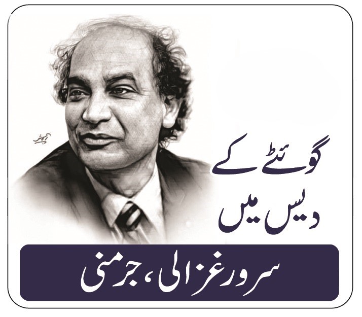 افریقی ملک کینیا کا سفر نامہ۔۔۔دلچسپ تجربات      سرور غزالی۔۔۔۔۔۔آخری قسط