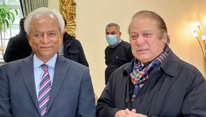 نہال ہاشمی کو گورنر سندھ تعینات کرنے کا فیصلہ