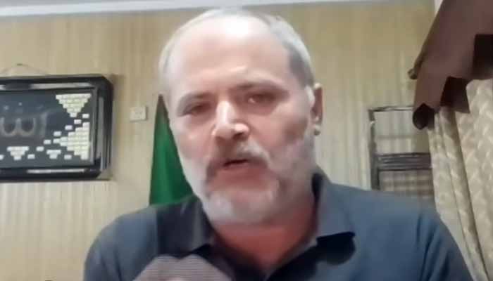 پاکستان اس وقت امت مسلمہ کا لیڈر بن چکا ہے: فلسطینی صحافی