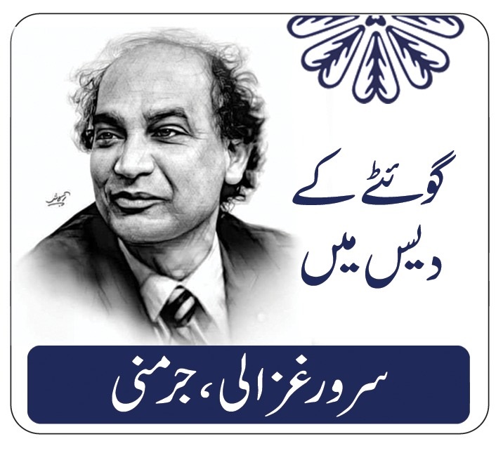 جرمنی میںمیکلن بورگ کا محل اور آرائشی پتھروں کی پن چکی…تحریر: سرور غزالی