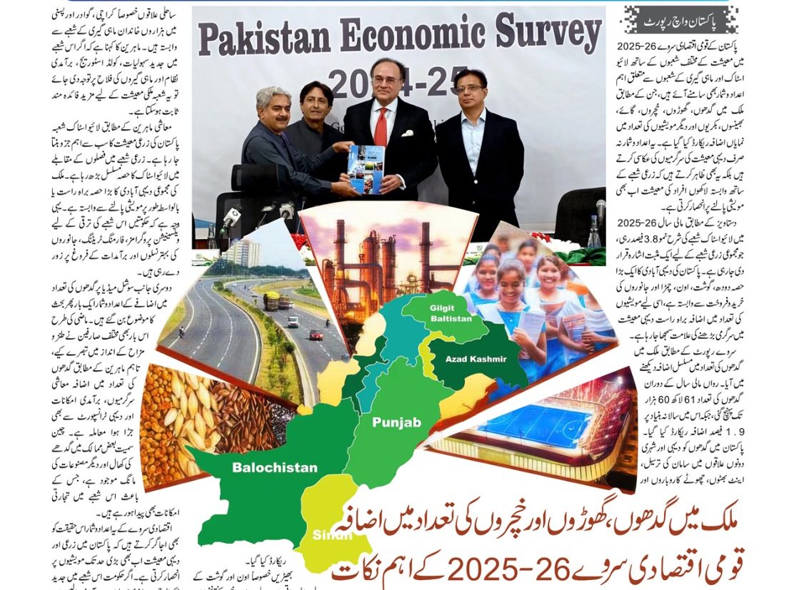 ملک میں گدھوں، گھوڑوں اور خچروں کی تعداد میں اضافہ…پاکستان  واچ رپورٹ