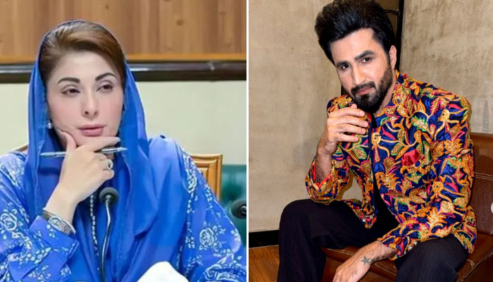 چھوٹے کپڑے پہننے والوں کیلئے قانون بنایا جائے، فلک شبیر کی مریم نواز سے درخواست