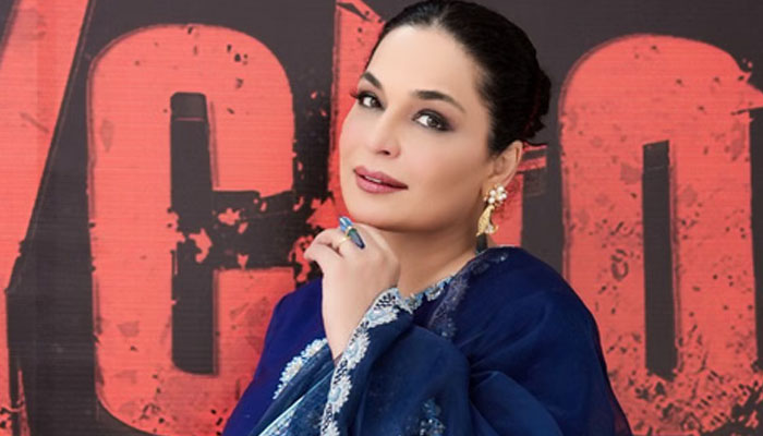 سائیکو کہنے پر اداکارہ میرا برہم، فنکاروں کو عزت دینے کا مطالبہ