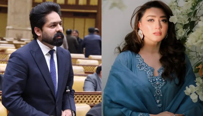مومنہ اقبال کو ہراساں کرنے کا معاملہ: ایم پی اے ثاقب چدھڑ کیخلاف مقدمہ درج