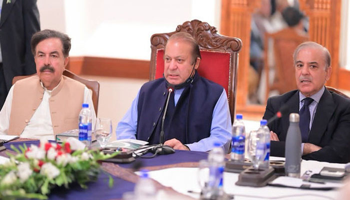 محسن نقوی کا بیان نظر انداز کریں،  اتحاد وقت کی اشد ضرورت ہے: نواز شریف