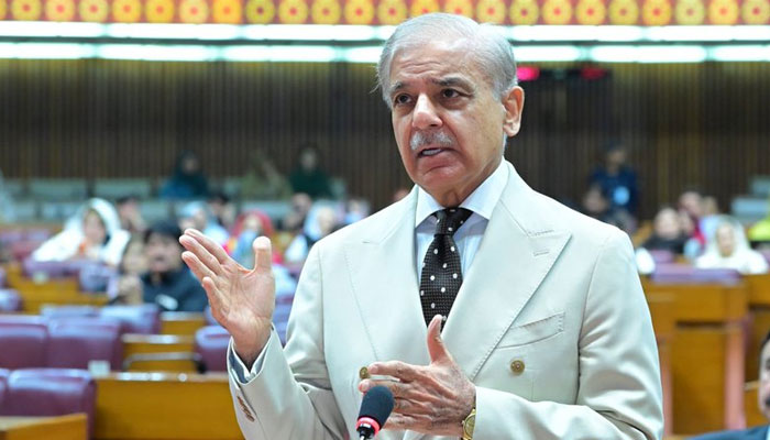 شہباز حکومت کی الٹی گنتی گننے والے خود اپنی گھڑیاں ری سیٹ کرنے لگے